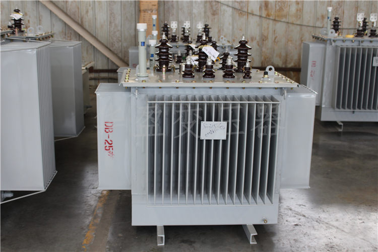 资阳S20-800kVA/10kV/0.4kV变压器